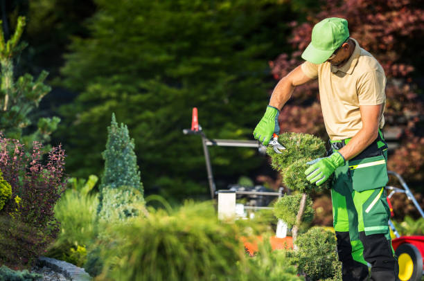 Arbeiten im Garten